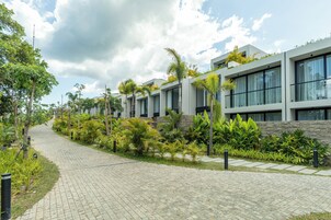 A modern building with a paved walkway, surrounded by lush greenery and palm trees.
