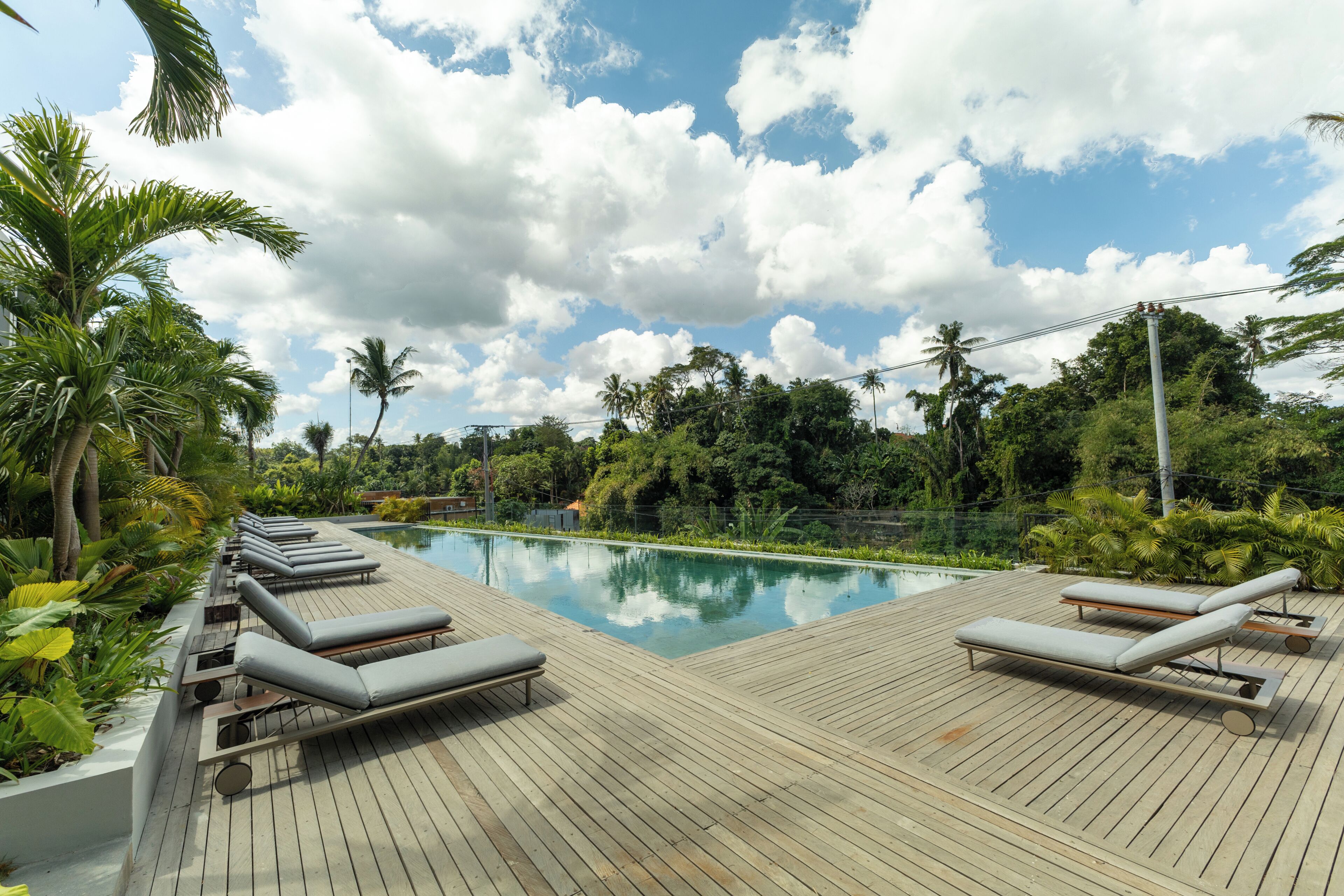 Outdoor pool, sun loungers