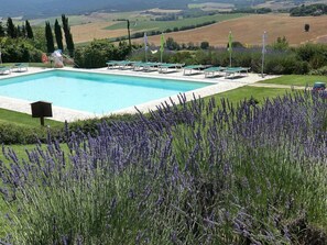 Pool - Villa Gelso Grande: A cozy and welcoming two-story ancient house in the characteristic style of the Tuscan countryside, with Free WI-FI. (Colle di Val d'Elsa)