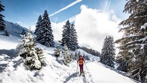 Apartamento clássico, 2 quartos | Esportes de neve e esqui