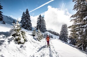Leilighet – classic, 2 soverom | Snø- og skisport