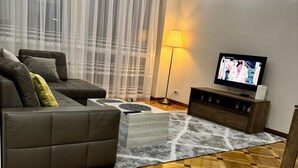 Una sala de estar moderna con un sofá, un televisor y una alfombra estampada.