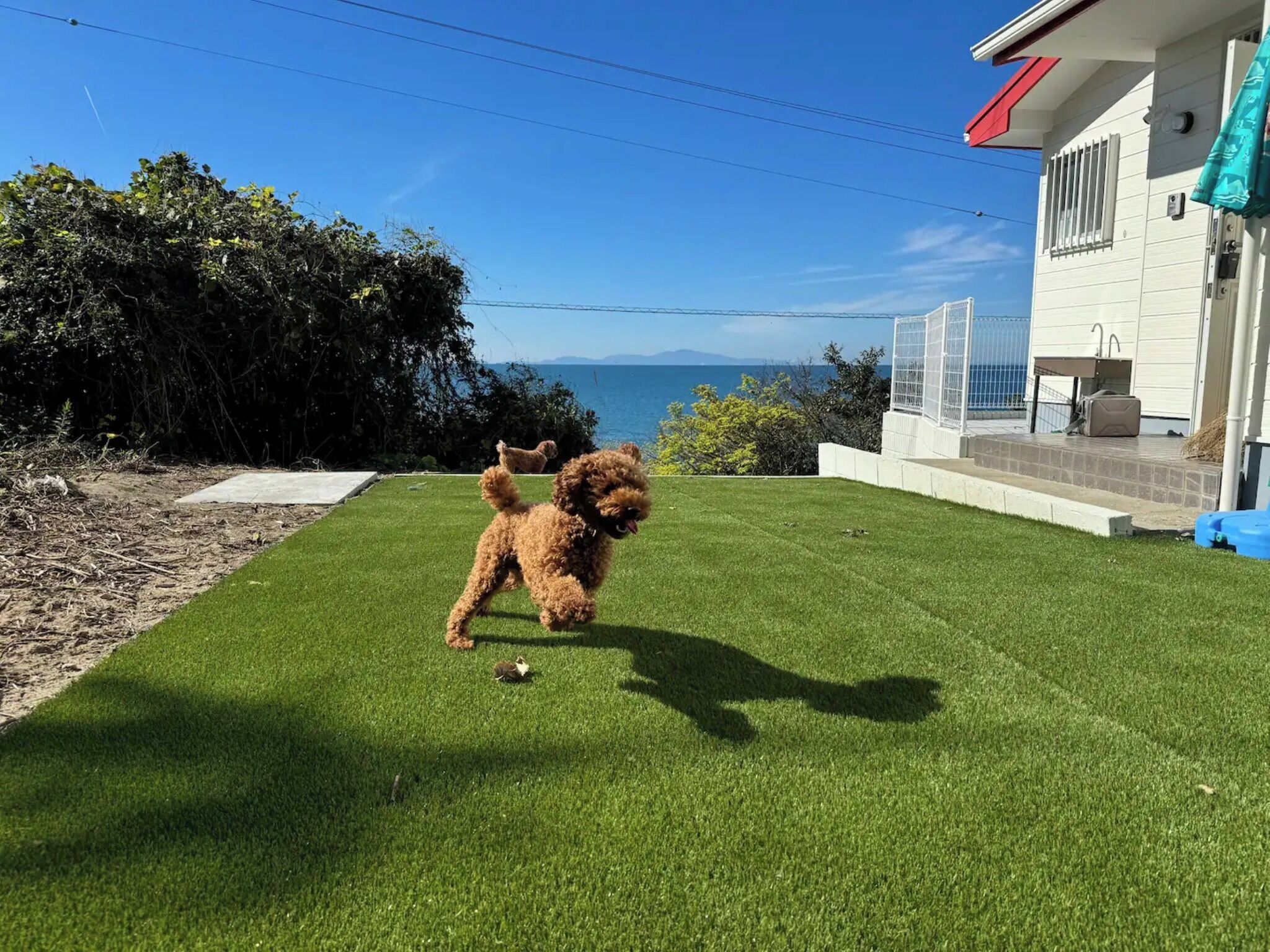 Áreas de la propiedad