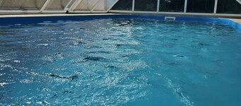 Very nice vacation home with large pool unenclosed property