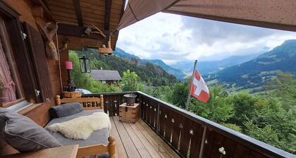 Beautiful 4-bedroom chalet apartment perfect for stays at Säntis mountain range
