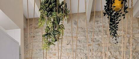 A kitchen with a microwave, coffee maker, and hanging plants.