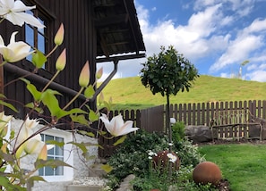 A wooden house with a garden, a hill in the background, and a fence. - Cottage 'Lieblingsplatz Am Bach' with Wi-Fi (Windorf)