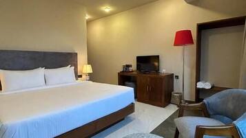 Standard Double Room, Mountain View