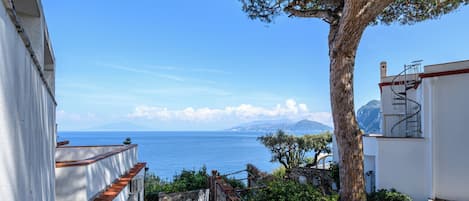 A coastal building with a staircase leading to a terrace overlooking the sea, a tree, and a mountain in the background.