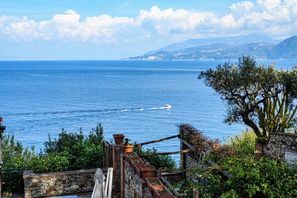 Vista desde la habitación