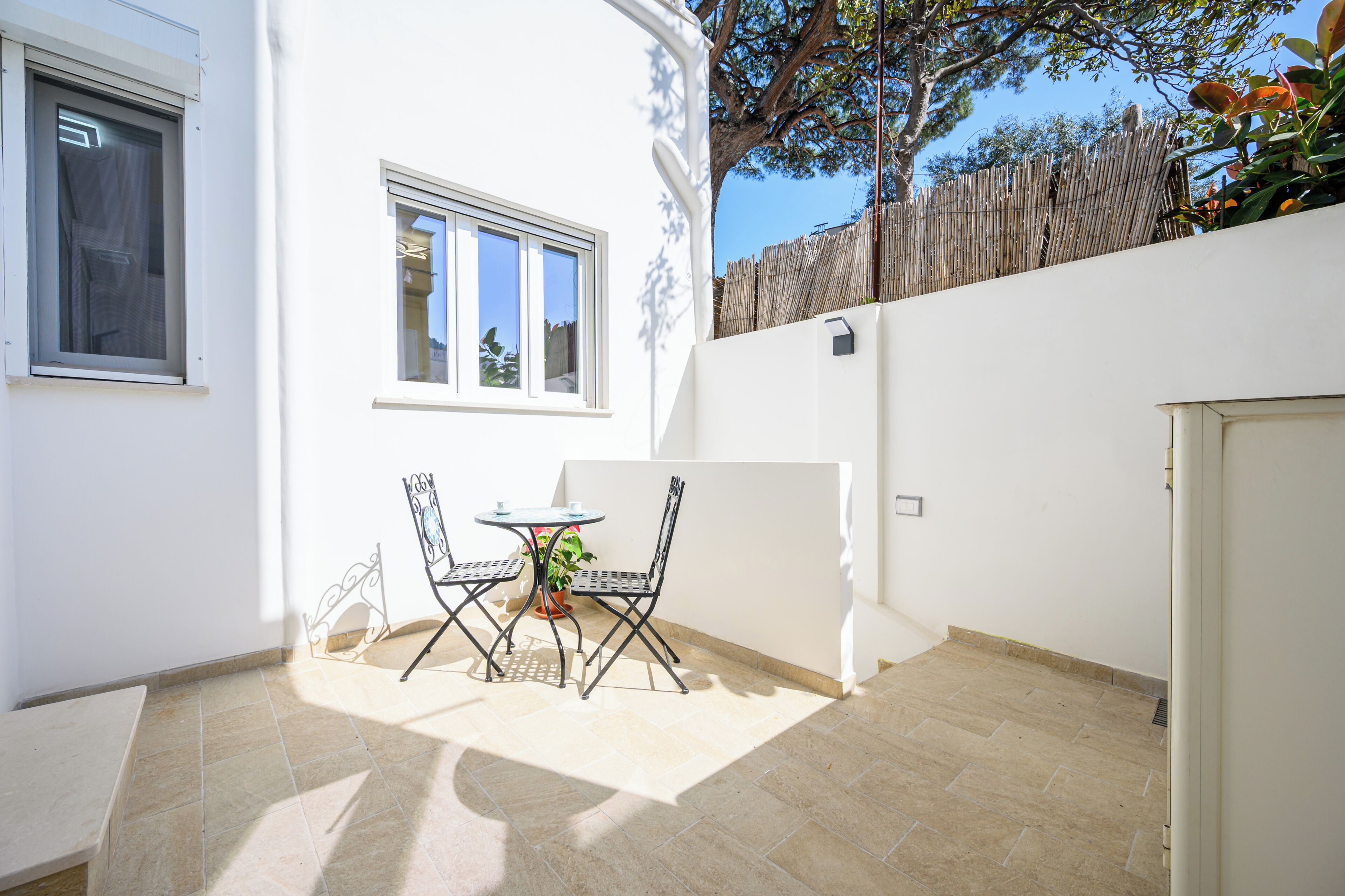 A patio with a table and chairs, a potted plant, and a window.