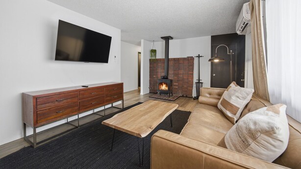 Ein modernes Wohnzimmer mit Flachbildfernseher, einem Holztisch, einer Ledersofa, einem Kamin aus Ziegelsteinen und einer hängenden Pflanze.