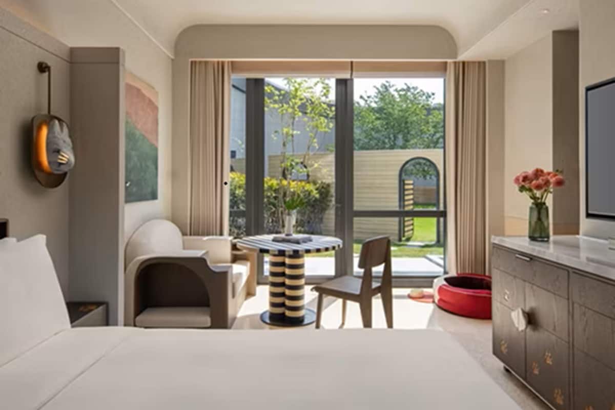 A modern hotel room with a bed, a TV, a dining area with a table and chairs, a red pet bed, and a view of the outdoors.