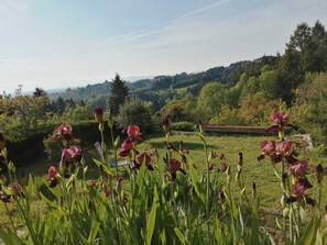 Property grounds - House Côte Roannaise 9 persons - 4 bedrooms Pets allowed ! (Saint-Haon-le-Vieux)