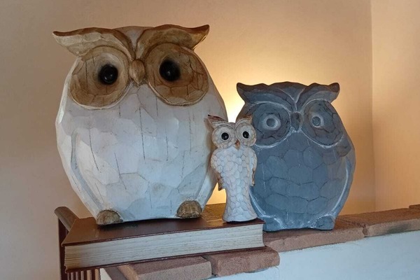 Détail de l’intérieur