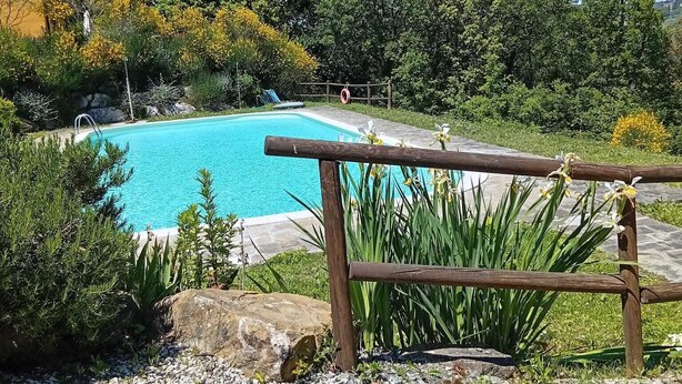 A clear blue pool surrounded by greenery and a wooden fence. - The three owls of san gimignano (San Gimignano)