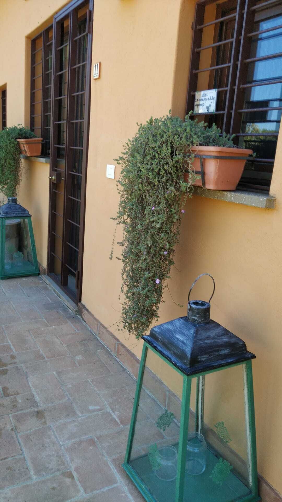 Un edificio con facciata gialla, una porta con il numero 11 e una finestra con una pianta in vaso.