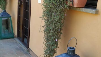 Un edificio con facciata gialla, una porta con il numero 11 e una finestra con una pianta in vaso.
