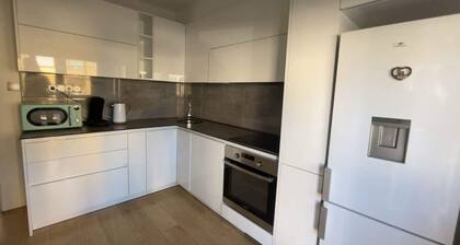 Spacious 3-Bedroom Apartment Near Basel Airport