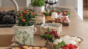 Una encimera de cocina con diversos alimentos y una planta en maceta.