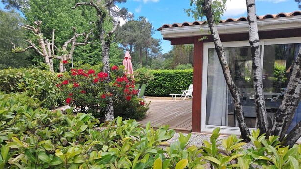 A garden with a wooden deck, a glass-enclosed structure, and red flowering bushes.