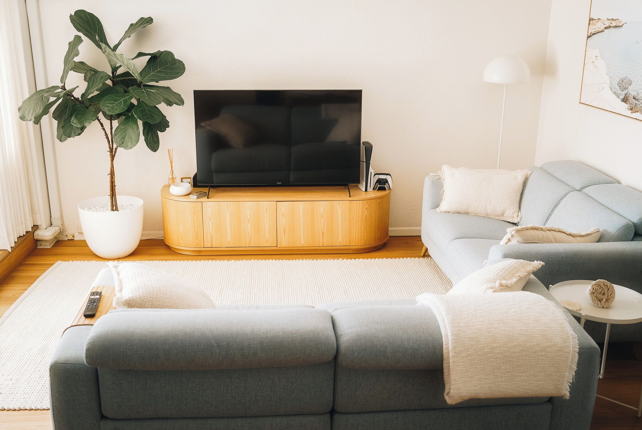 Una Smart TV, videojuegos, libros, una pantalla de ordenador