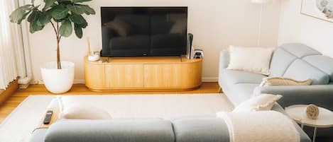 Smart TV, video games, books, computer monitors