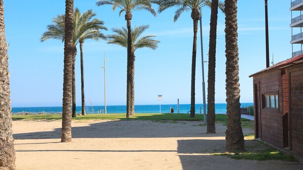 A beach with palm trees, a clear sky, and a building with a red roof. - AURA Superior Apartment (La Pineda)