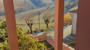 Vista a través de una ventana que muestra un paisaje de viñedos, una calle y un edificio.