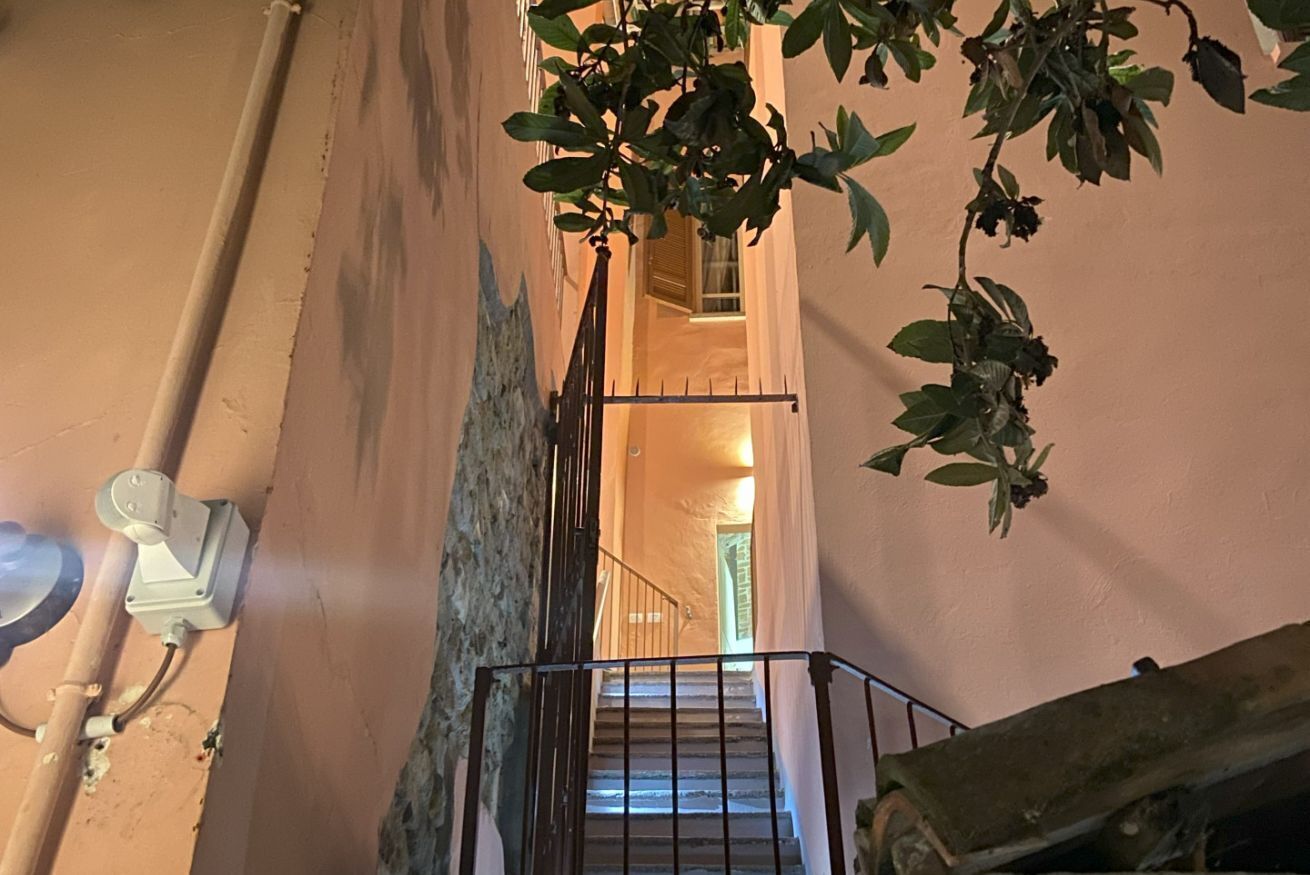 Una escalera estrecha con barandilla, un cuadro de luz empotrado en la pared y una planta de hojas verdes.