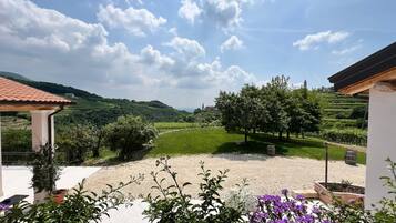 Área da propriedade