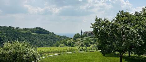 Enceinte de lâhĂ©bergement