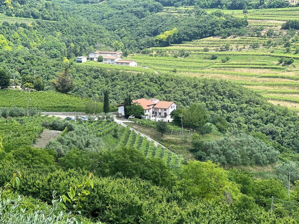Vista aérea