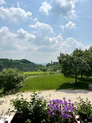 Property grounds - 'Camera del Miele' Room with Shared Garden, Wi-Fi and Air Conditioning (Negrar di Valpolicella)