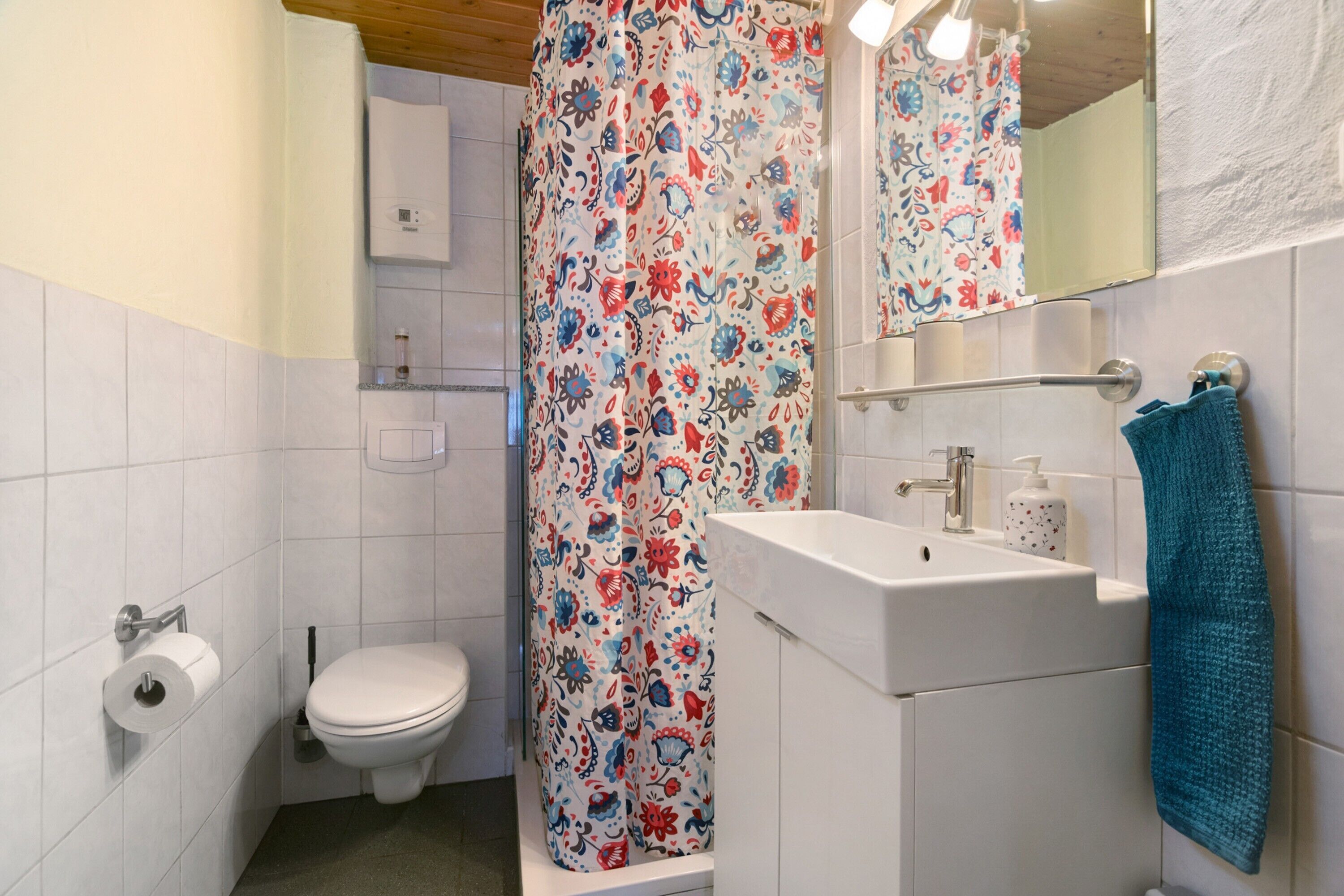Shower, hair dryer
