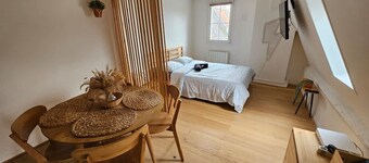 Appartement Lumineux Scandinave - Coup de Foudre