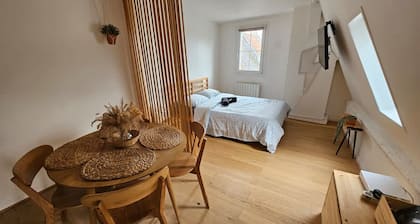 Appartement Lumineux Scandinave - Coup de Foudre
