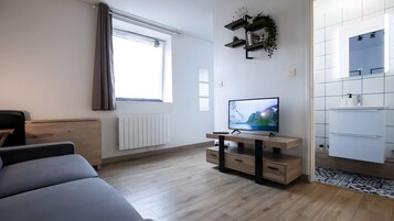1 habitación 