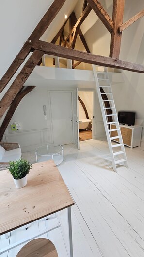 Apartment | 1 bedroom - Le Perchoir Studio Avec Mezzanine (Arras)