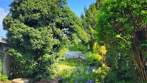 A garden with a variety of plants and flowers, a large tree, and a metal fence. - Le Matisse - Centre - Jardin au Calme - Lumineux (Béthune)