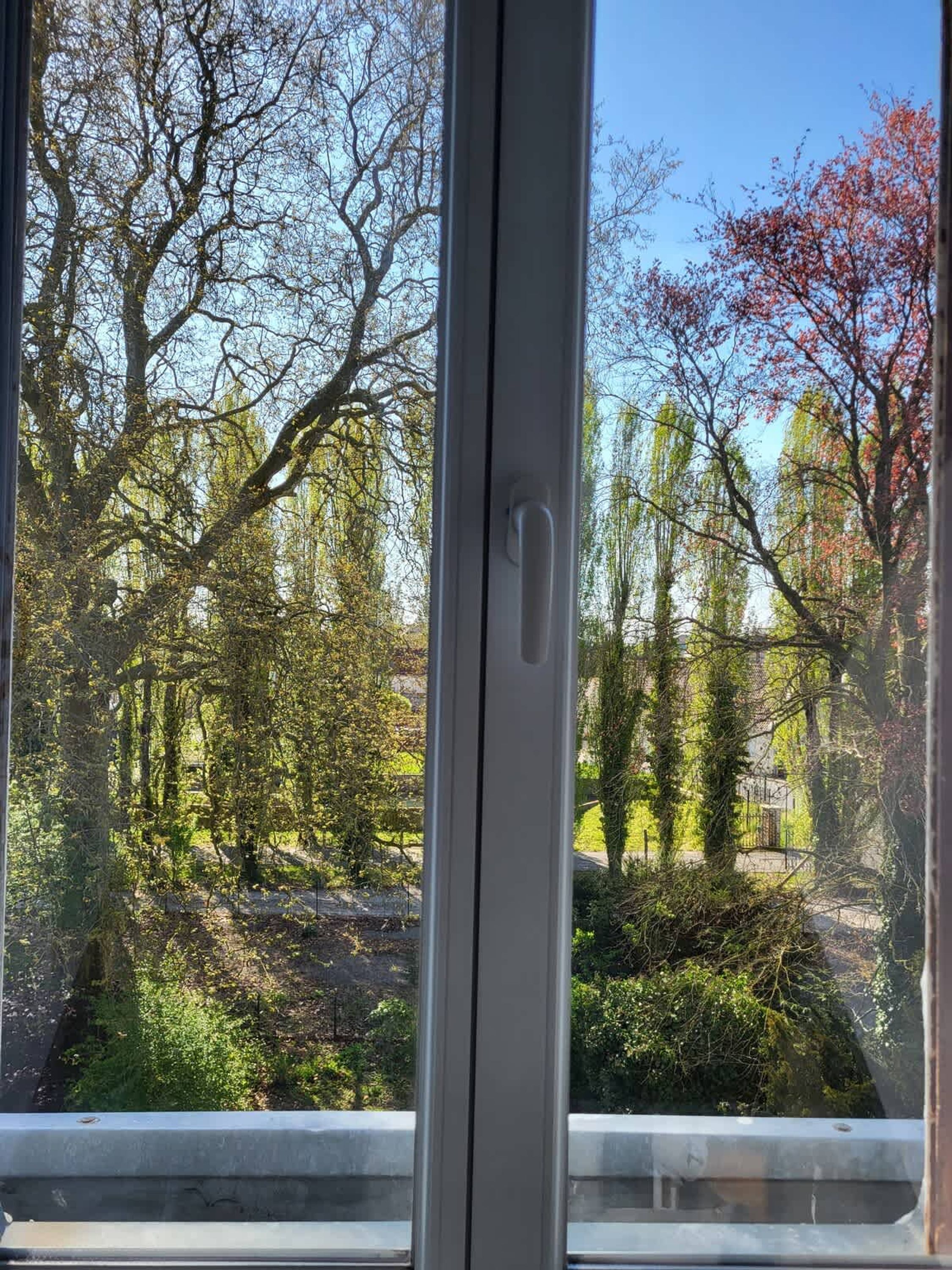A window with a view of trees and a clear sky.