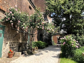 Room - Arras Quartier pr Fecture Familles Animaux (Arras)