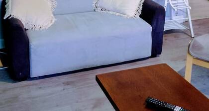 Laverie de Fran ois Wifi Commerce 6pers Ar na