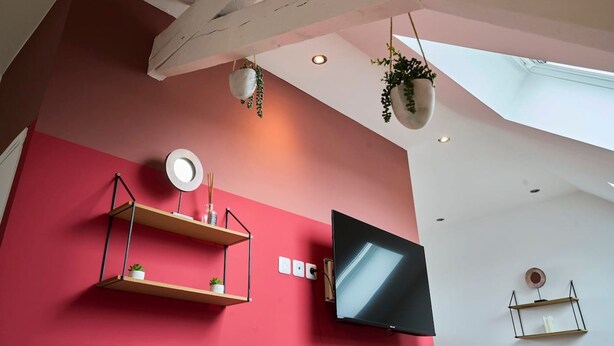 A room with a red wall, a mounted TV, wooden shelves with plants, and a ceiling with exposed beams. - En d Placement 9 Dernier Tage Wifi Gratuit (Tourcoing)