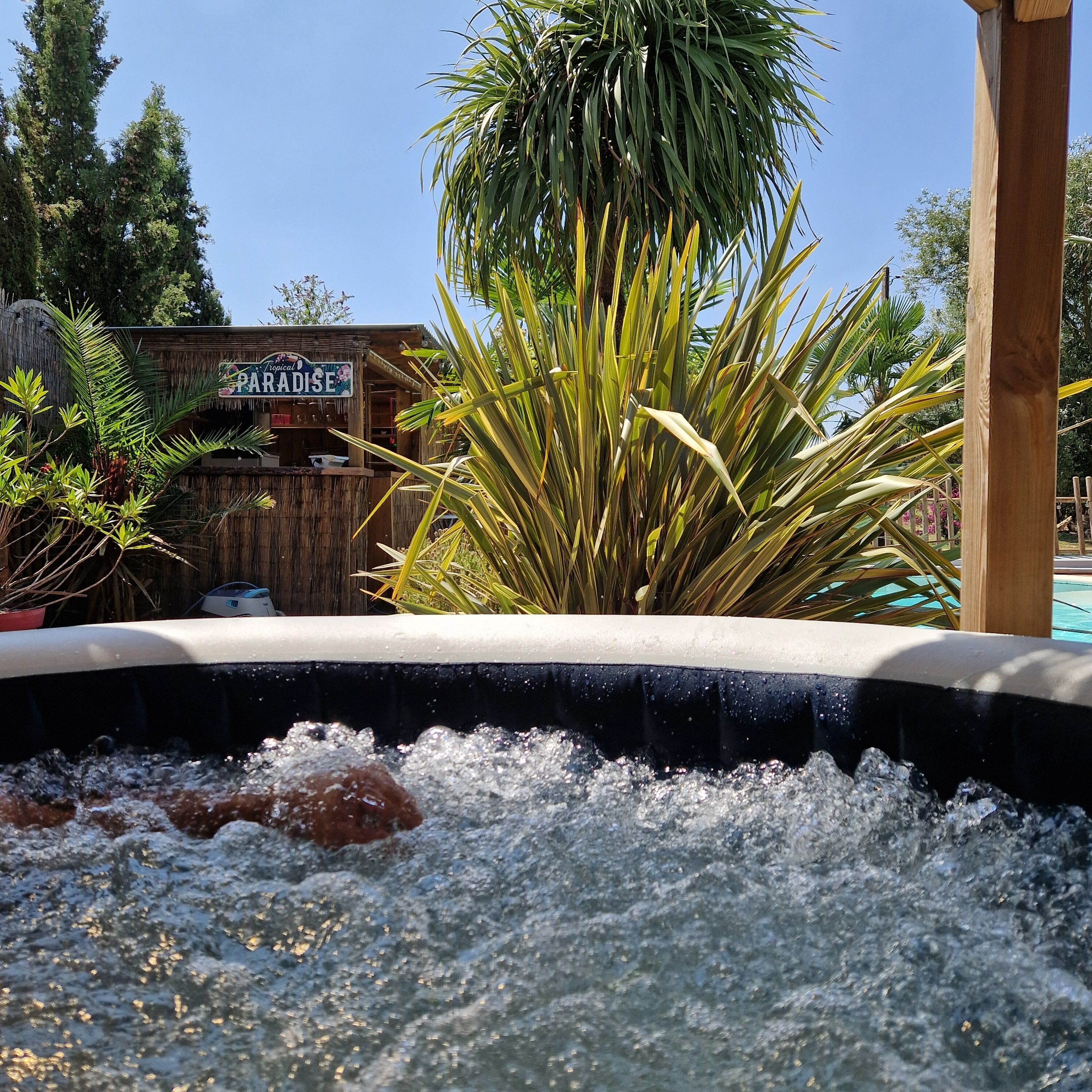 A hot tub with water, a wooden structure with a sign reading 'Paradise,' and tropical plants.
