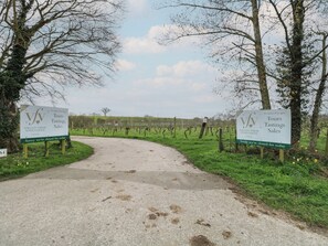 Property grounds - Grape Escape (Halesworth)
