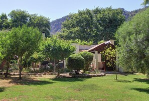 Property grounds - One-of-a-Kind Farm Villa - 3 min to Sandy beach + Kalyves! 20 min to Chania. (Kalives)