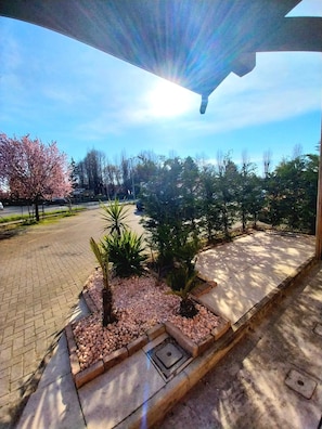 Parco della struttura