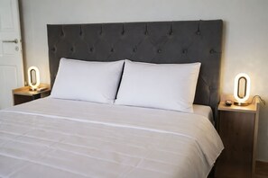 2 habitaciones y acceso a internet 