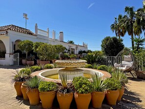 Terrace/patio - Finca El Refugio - Ole Solutions (Medina Sidonia)